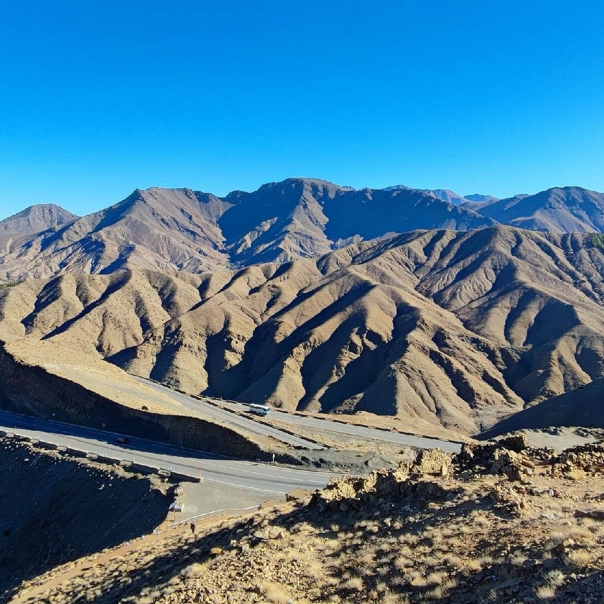 WhatsApp Image 2025-11-12 at 17.54.37