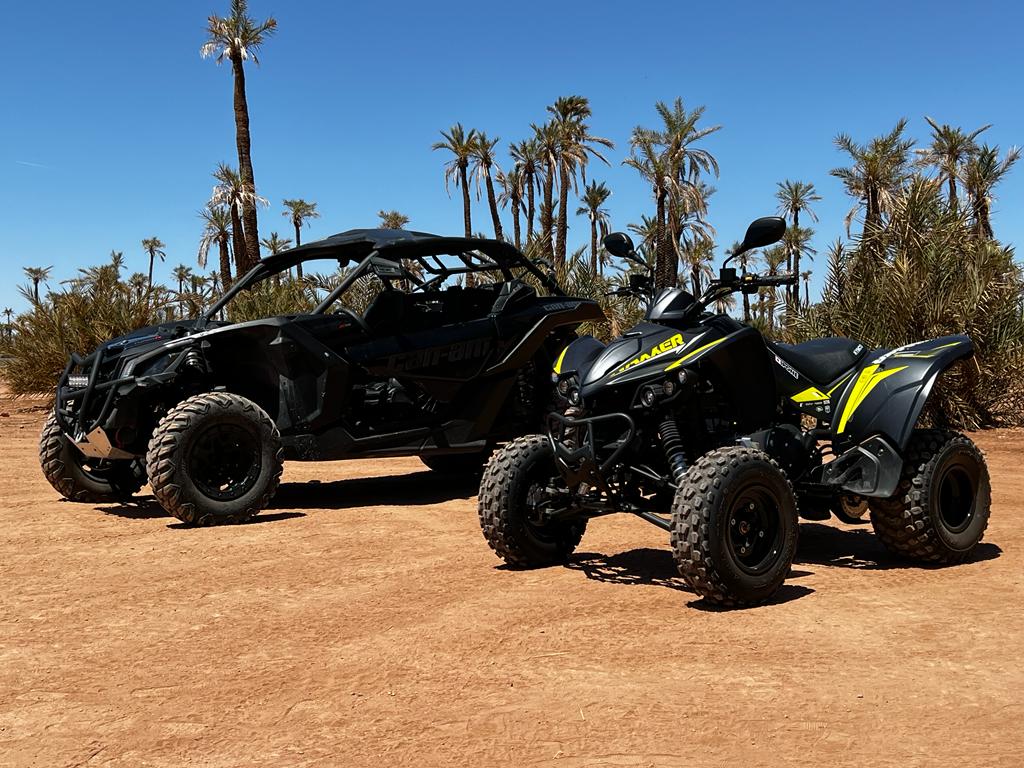 d53166cf-93b6-43c8-8222-71f781775841